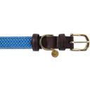 Kentucky Dogwear Hondenhalsband Gevlochten Nylon, Blauw - S (42 cm)