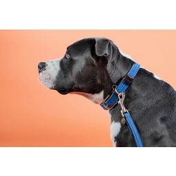 Kentucky Dogwear Plaited Nylon Dog Collar, Blue - S (42 cm)