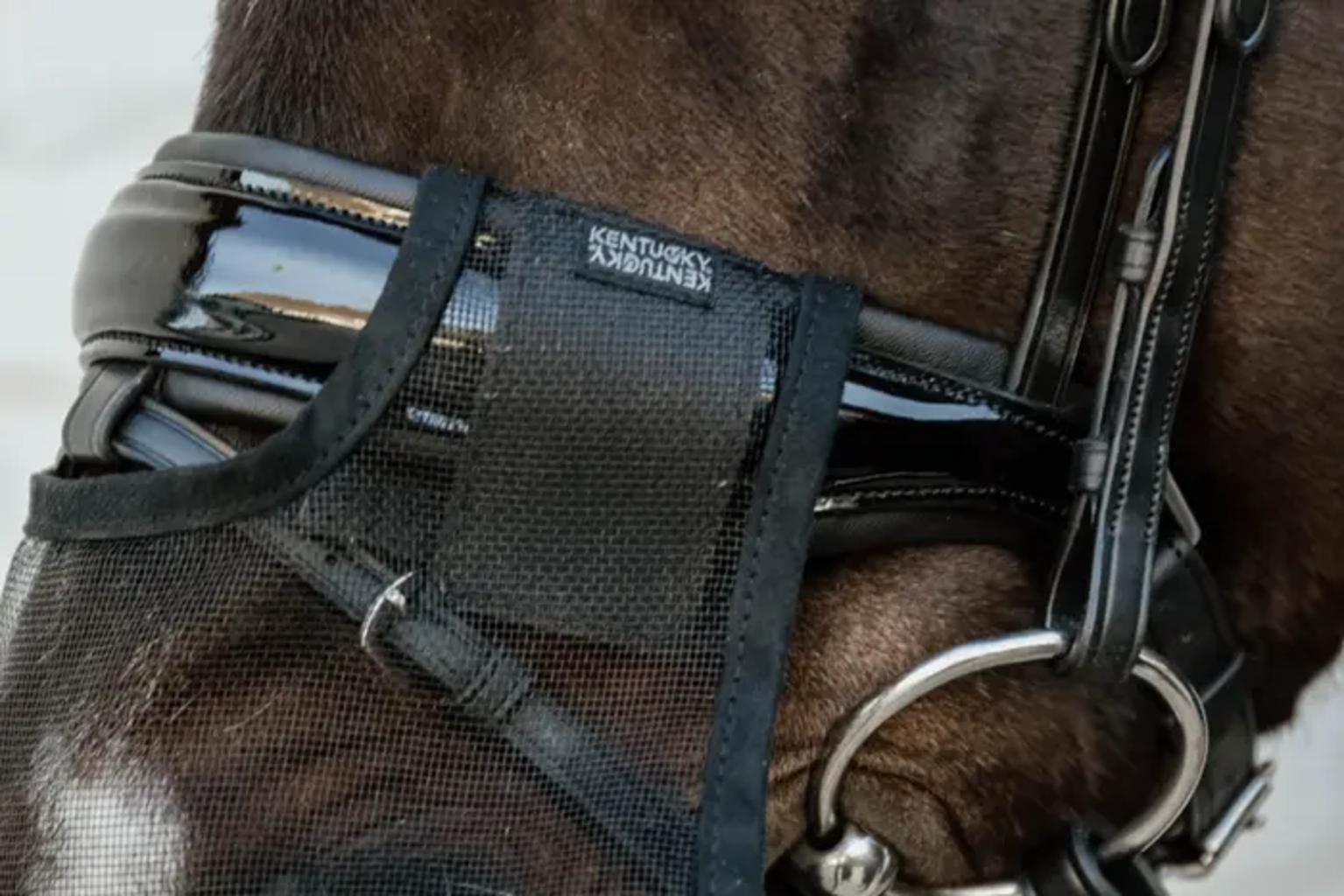 Kentucky Horsewear Anti-Fly-Nüsternschutz, Full - 1 Stück