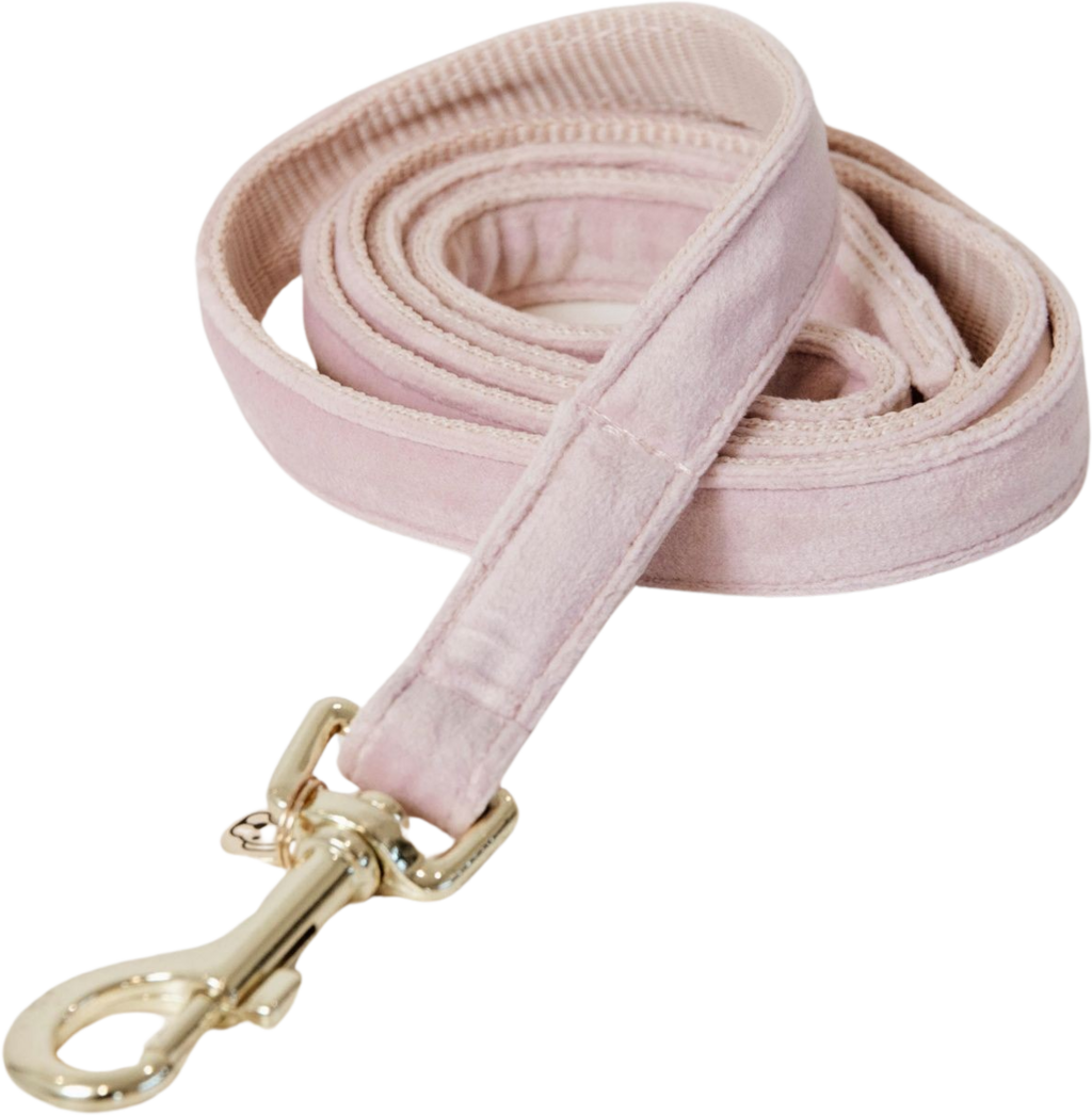 Kentucky Dogwear Hundeleine 