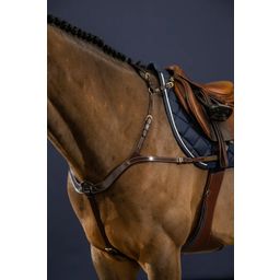 Anatomische Borsttuig Bruin, Warmbloed D-Collectie - 1 stuk