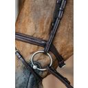 Braided Bridle with Combined Noseband, Brown, Full - 1 Pc