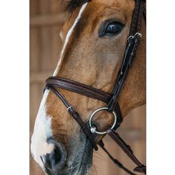 Braided Bridle with Combined Noseband, Brown, Full - 1 Pc