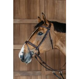 Braided Bridle with Combined Noseband, Brown, Full - 1 Pc