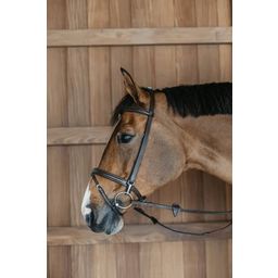 Dy'on Working by Dyon - Training Bridle, Full - Brown