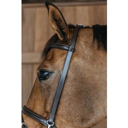 Dy'on Working by Dyon - Training Bridle, Full - Brown