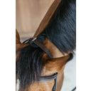 Dy'on Working by Dyon - Training Bridle, Full - Brown