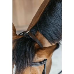 Dy'on Working by Dyon - Training Bridle, Full - Brown