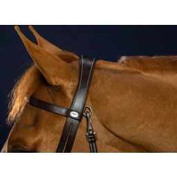 Platte Leren Hoofdstel met Karabijnhaken, Warmbloed - Working by Dyon - Bruin