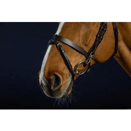 Working by Dyon - Flat Leather Bridle with Snap Hooks, Full  - Brown