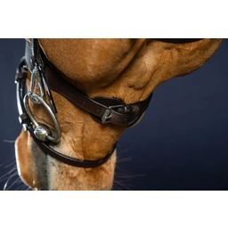 Working by Dyon - Flat Leather Bridle with Snap Hooks, Full  - Brown