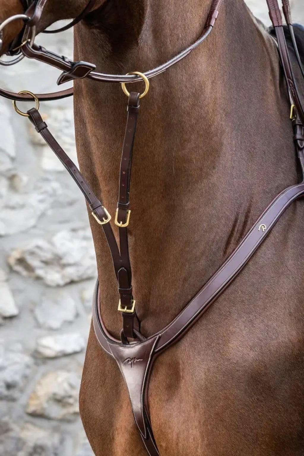 Martingalgabel (Ringmartingal), Warmblut D-Kollektion - Braun