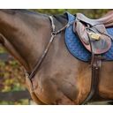 Borsttuig met Brug, Warmbloed D-Collectie - 1 stuk