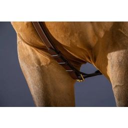 Borsttuig met Lange Brug, Warmbloed D-Collectie - Bruin