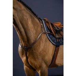 Borsttuig met Lange Brug, Warmbloed D-Collectie - Bruin