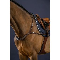 Anatomische Borsttuig Bruin, Warmbloed D-Collectie - 1 stuk