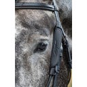 Dy'on Mini Oogkleppen, Warmbloed D-Collectie - Zwart