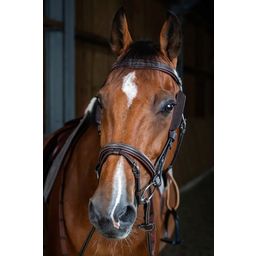 Dy'on Mini Oogkleppen, Warmbloed D-Collectie - Bruin