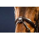 Sperriem 1/2'' met 2 Afneembare Bevestigingslussen, Warmbloed D-Collectie - Bruin