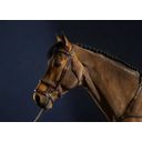 Trense mit Doppelreithalfter, Warmblut D-Collection - Braun