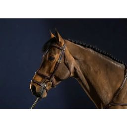 Trense mit Doppelreithalfter, Warmblut D-Collection - Braun