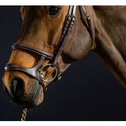 D-Collection Bridle with Double Noseband, Full - Brown