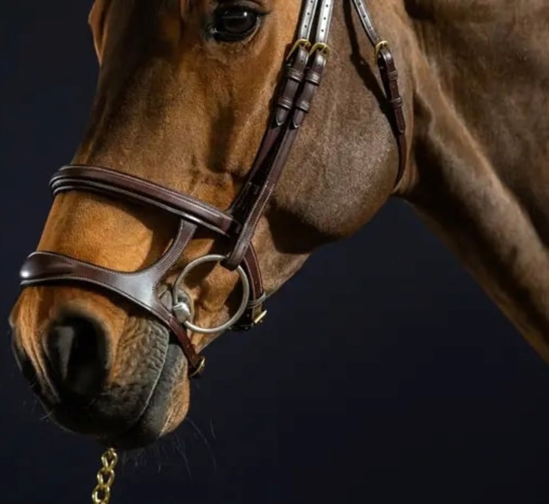 D-Collection Bridle with Double Noseband, Full - Brown