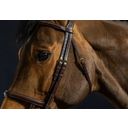 Trense mit Doppelreithalfter, Warmblut D-Collection - Braun