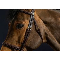 Trense mit Doppelreithalfter, Warmblut D-Collection - Braun