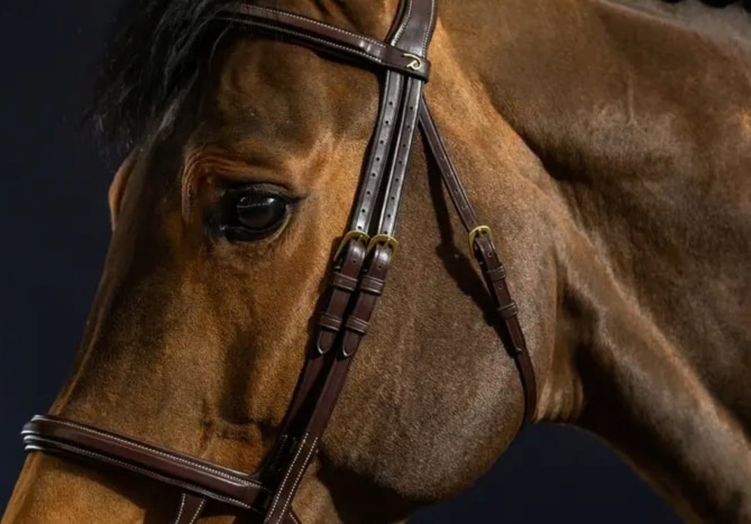 D-Collection Bridle with Double Noseband, Full - Brown