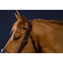 D-Collection Anatomical Bridle with Combined Noseband, Cob - 1 Pc