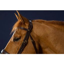 D-Collection Anatomical Bridle with Combined Noseband, Cob - 1 Pc