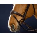 D-Collection Anatomical Bridle with Combined Noseband, Cob - 1 Pc