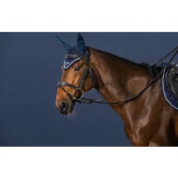 D-Collection Anatomical Bridle with Combined Noseband, Full - Black