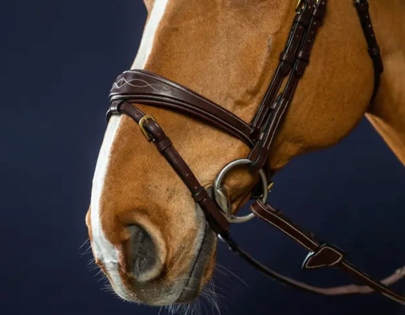 D-Collection Anatomical Bridle with Combined Noseband, Full - Brown