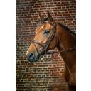 D-Collection Bridle with Combined Noseband, Brown, Cob - 1 Pc