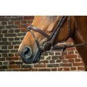 D-Collection Bridle with Combined Noseband, Brown, Cob - 1 Pc