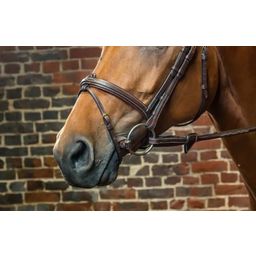 Hoofdstel met gecombineerde neusriem, Warmbloed D-Collectie - Bruin