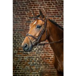 Hoofdstel met gecombineerde neusriem, Warmbloed D-Collectie - Bruin