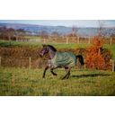 Pregrinjalo Amigo Hero Ripstop Turnout Rug Lite 0g, Bramble/Winterberry - 140 cm