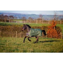 Amigo Hero Ripstop Turnout Rug Lite 0g, Bramble/Winterberry - 140 cm