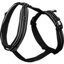 Sprenger Foal Harness - noir