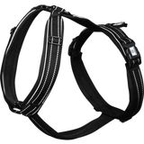 Sprenger Foal Harness