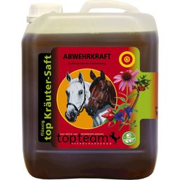 Topteam Top Immune System Herbal Juice - 2,50 l