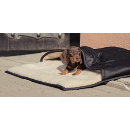 ESKADRON Dog Bed Teddyfleece, Black - 1 pz.