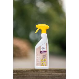 Bense & Eicke Detergente Cuoio - Step 1 - 500 ml