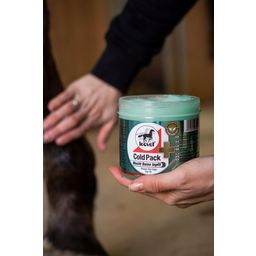 leovet COLD PACK Pharmacy Horse Ointment - 500 ml