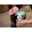 leovet COLD PACK Pharmacy Horse Ointment - 500 ml