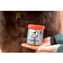 leovet Propolis Gel - 350 ml