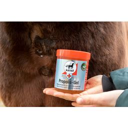 leovet Propolis Gel - 350 ml